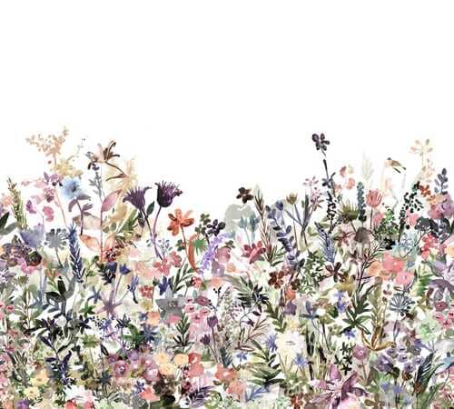 MAY MEADOW
