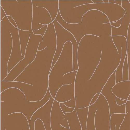 papier peint marron avec des dessins filaires de corps de femmes