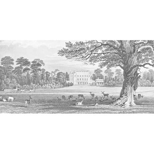 Papier peint panoramique gris représentant un jardin anglais.