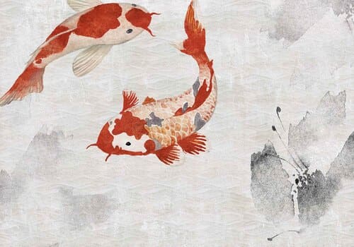Papier peint représentant deux poissons japonais nageant sur un fond blanc. Il est posé dans un salon.