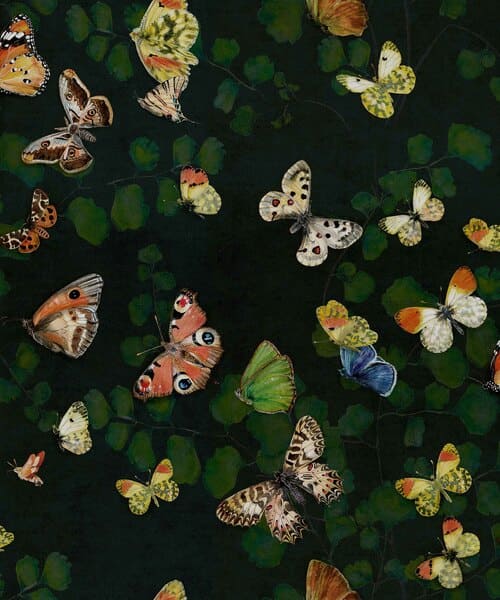 Papier peint avec des papillons multicolores sur un fond noir.