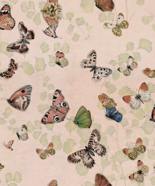 Papier peint avec des papillons multicolores sur un fond rose.