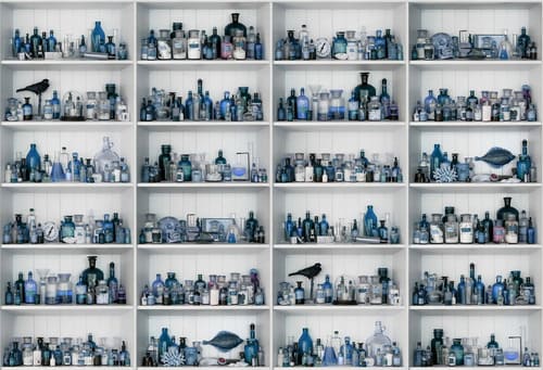 papier peint rebel walls cabinet of curios bleu