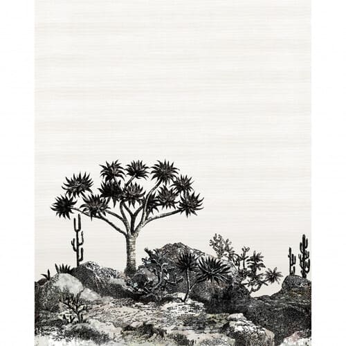 décor panoramique noir avec des arbres yucca
